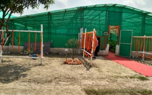 Hi-tech Bamboo Nursery at KVK, Piprakothi, Bihar