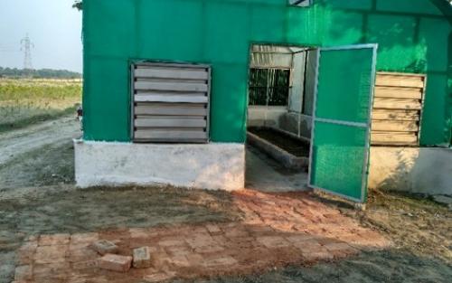 Hi-tech Bamboo Nursery at KVK, Piprakothi, Bihar