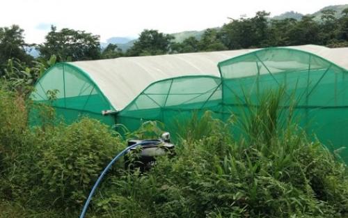 Naga Farmers Association, Mokokchung