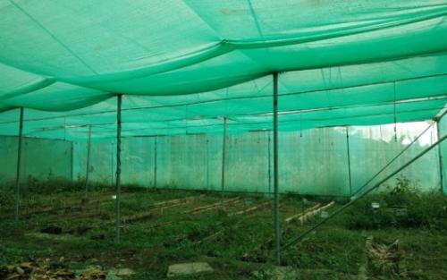 Naga Farmers Association, Mokokchung