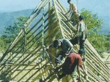 Bamboo and Human Development